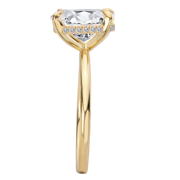 Oval Diamond Hidden Halo Engagement Ring