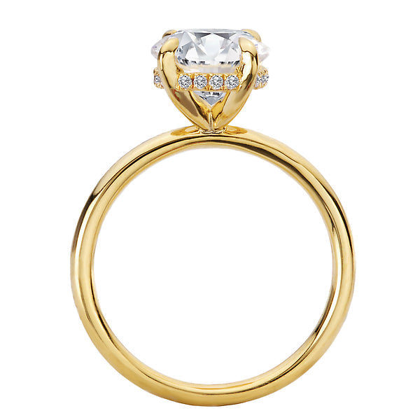 Oval Diamond Hidden Halo Engagement Ring