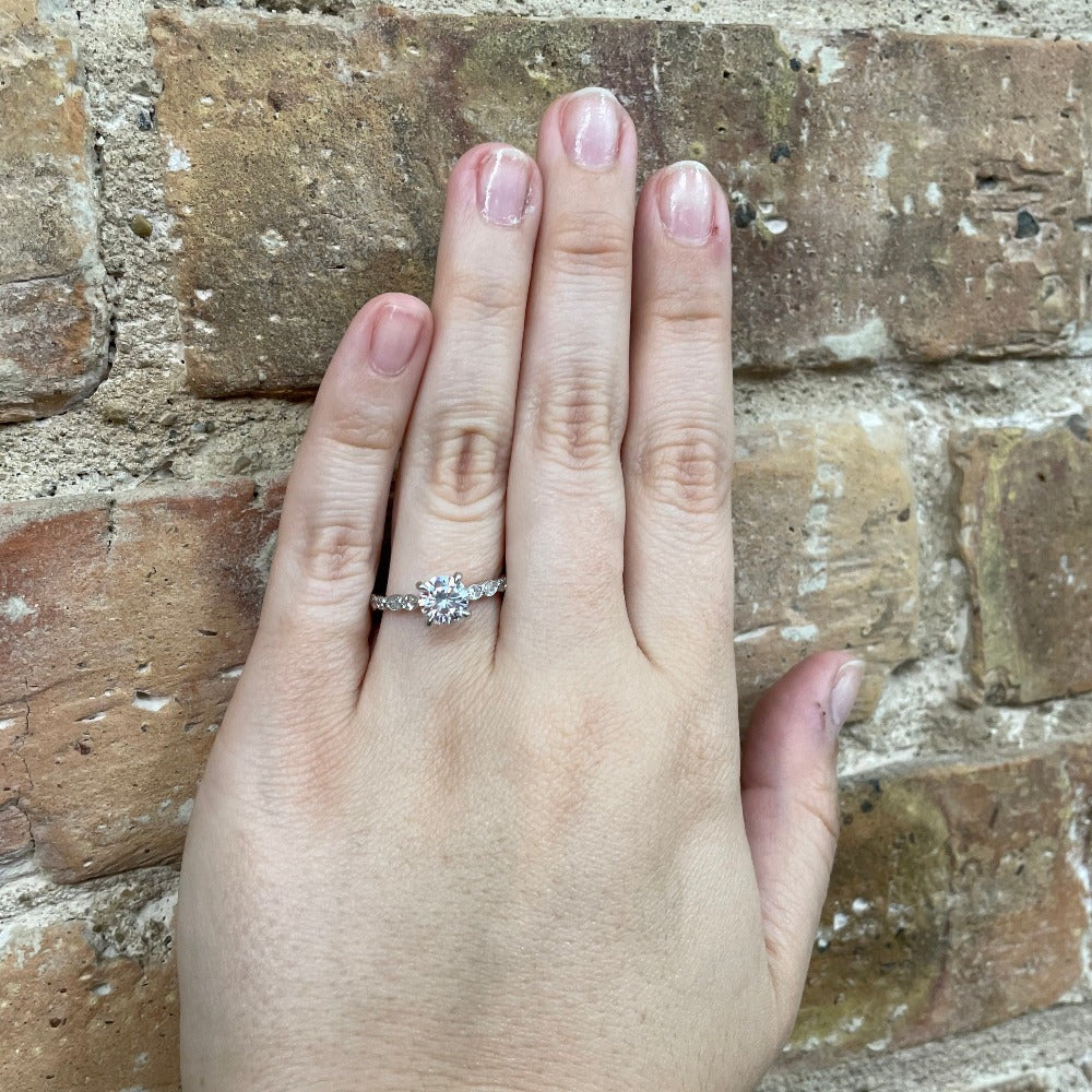 14K White Gold Princess Diamond Head with Scallop Shank Cathedral Engagement Ring