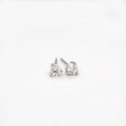 1/2 CTW SallyK Diamond Stud earrings