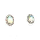 14KW Oval Opal Earrings with Diamond Halo .29 CTW