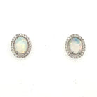 14KW Oval Opal Earrings with Diamond Halo .29 CTW
