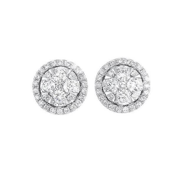 14kt white gold & diamond classic book starbright fashion earrings  - 3/4 ctw