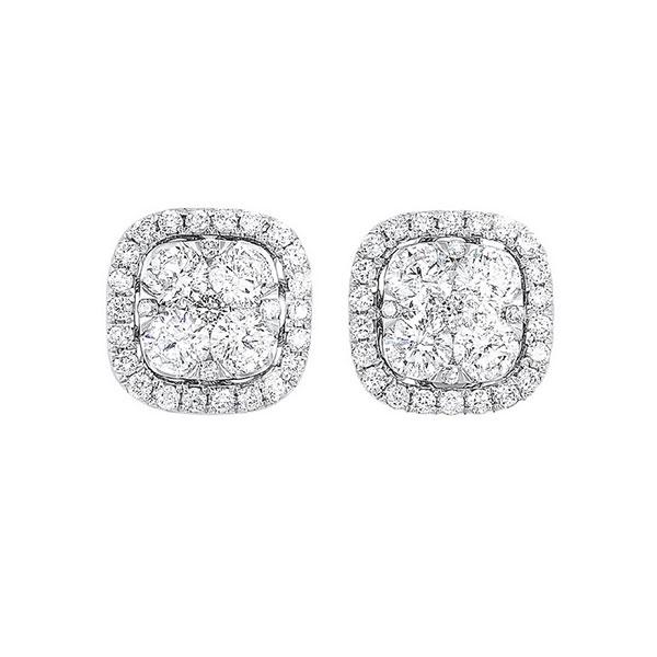 14kt white gold & diamond classic book starbright fashion earrings  - 3/4 ctw